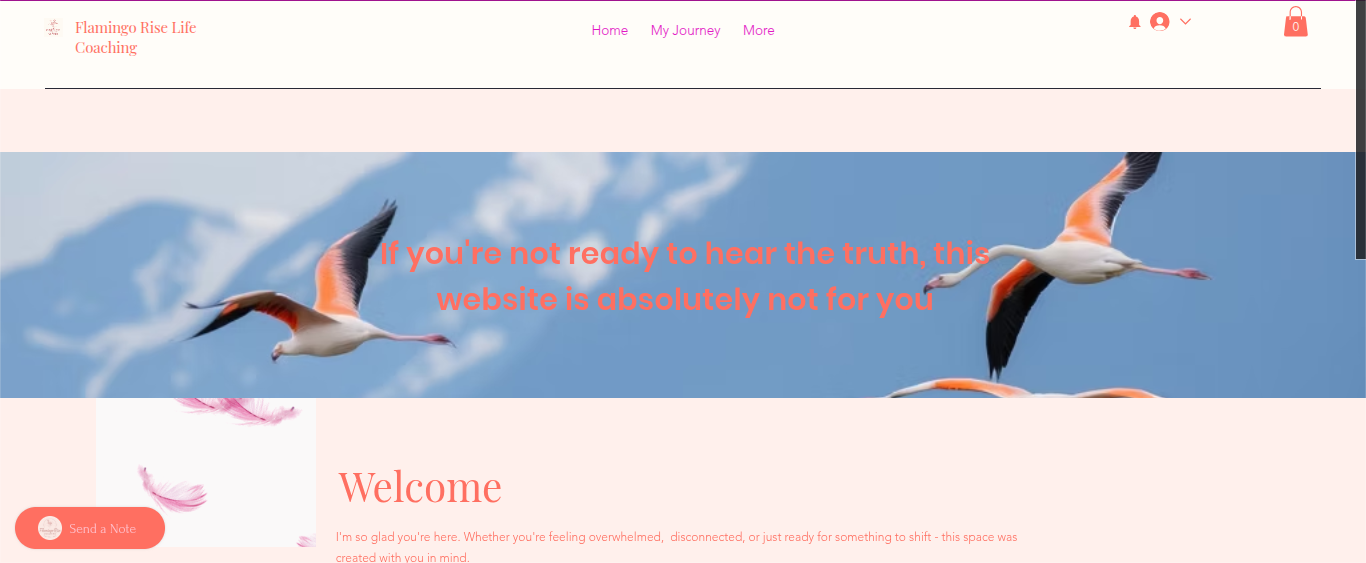 Flamingo Rise life coaching website